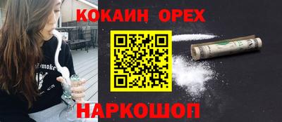 крисы Кунгур