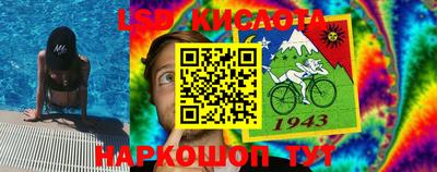 крисы Кунгур