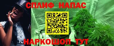 крисы Кунгур