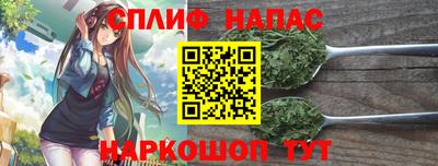 крисы Кунгур