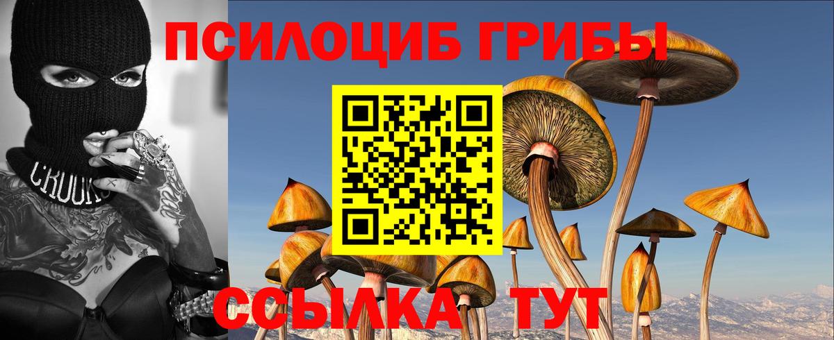 Дубна  Псилоцибиновые грибы GOLDEN TEACHER  Вход с VPN  Псилоцибиновые грибы Magic Shrooms 