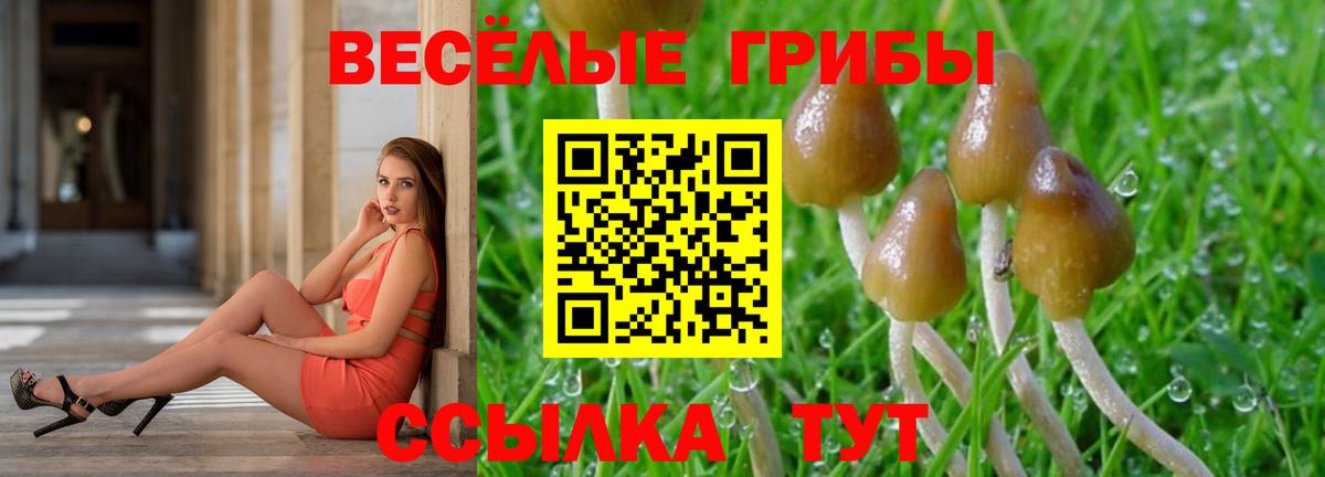 Метадон Дубна