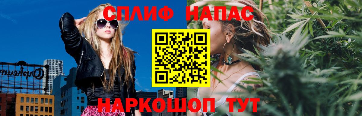 МАРИХУАНА гибрид Дубна